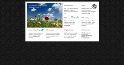 I Want A Web Designer