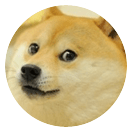 Doge Finbar