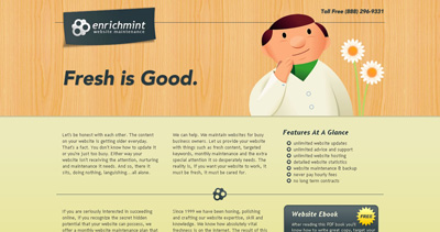 Enrichmint Website Screenshot
