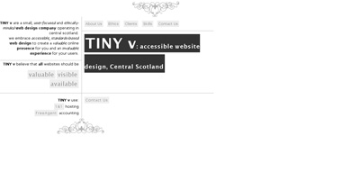 TINY v Website Screenshot