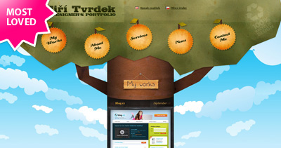 Jiri Tvrdek Website Screenshot