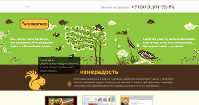 Web Partner Website Screenshot