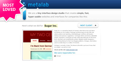 MetaLab Website Screenshot