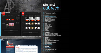 Premysl Aubrecht Website Screenshot