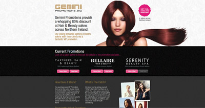 Gemini Promotions Website Screenshot