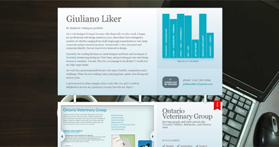 Giuliano Liker Website Screenshot