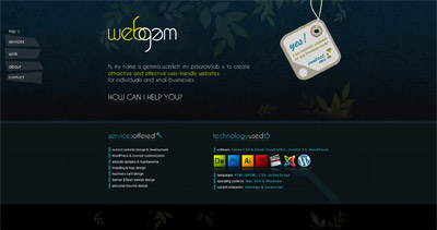 webgem Website Screenshot