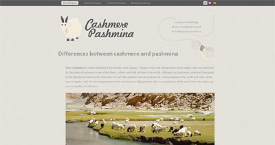 Cashmere Pashmina Website Screenshot