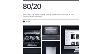80/20 Website Screenshot