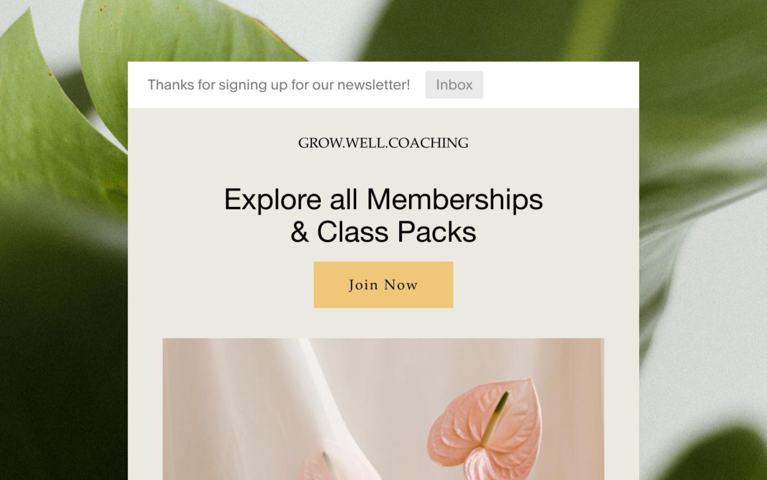 Squarespace Email Marketing